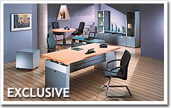 ������� ������ ��� ������������� �EXCLUSIVE�